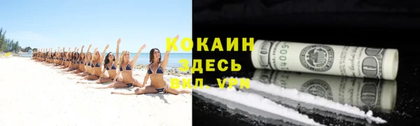 прущая мука Арсеньев